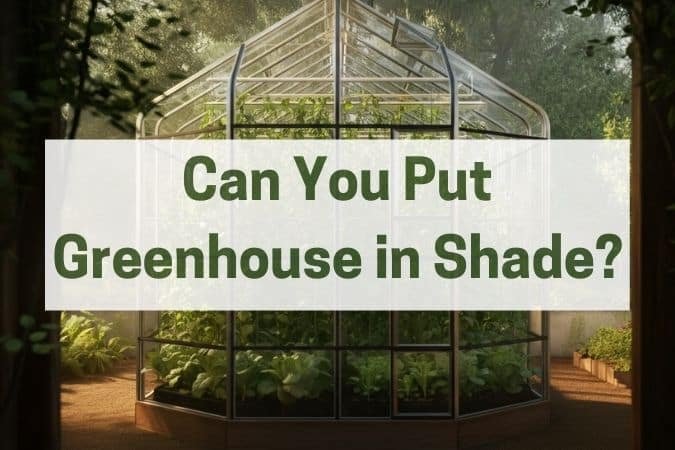 Can You Put a Greenhouse in the Shade