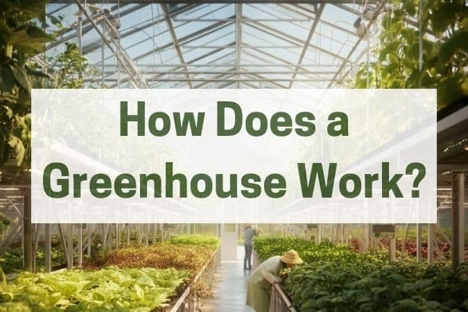 How Does a Greenhouse Work