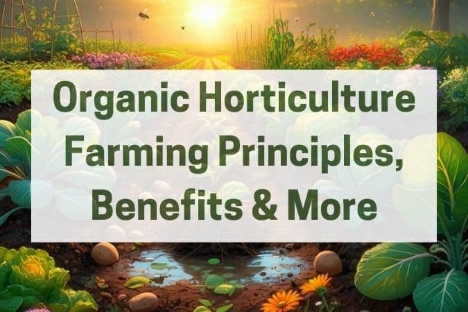 Organic Horticulture Farming Garden