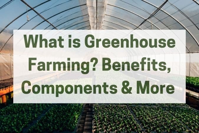 What is Greenhouse Farming