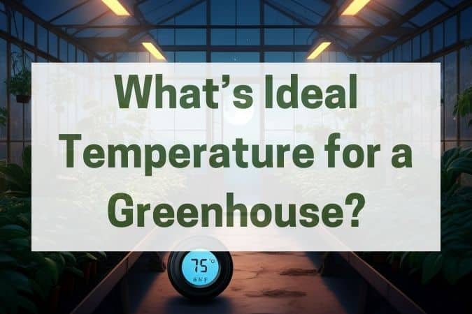 What Is the Ideal Temperature for a Greenhouse