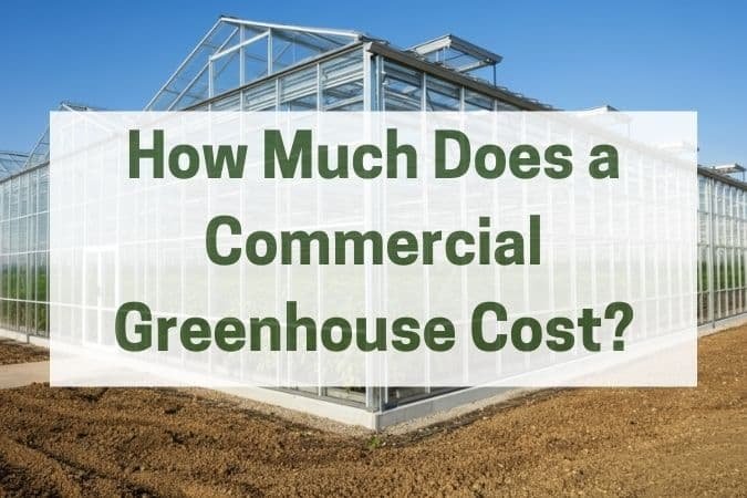 How Much Does a Commercial Greenhouse Cost